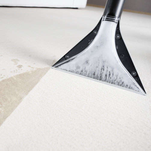 Моющий пылесос Karcher SE 5100 *EU