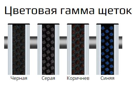 Сити Роял