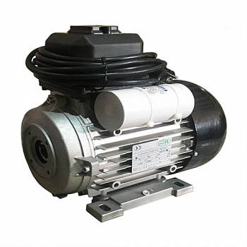 Мотор H100, HP 4, 2P MA AC KW 3,0 2P