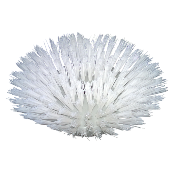 Щетка дисковая жесткая для SCRUBBY